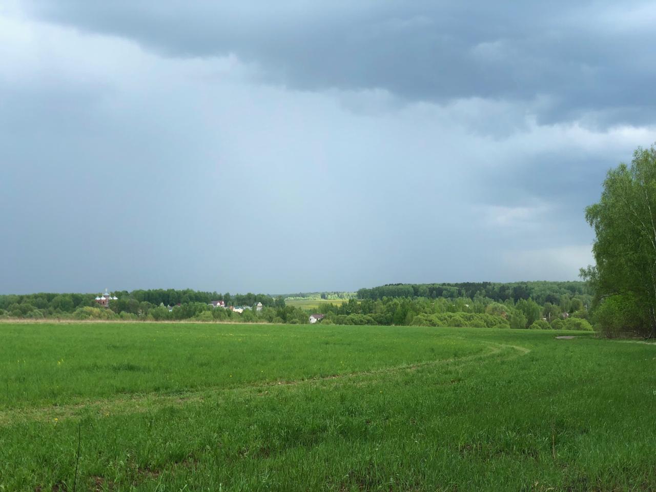 Президент НСА Корней Биждов: в агростраховании отмечается тенденция существенного роста суммы выплат по единичным убыткам