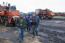 Полис на поле 