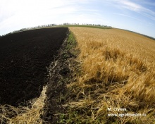 Простор для роста агрострахования