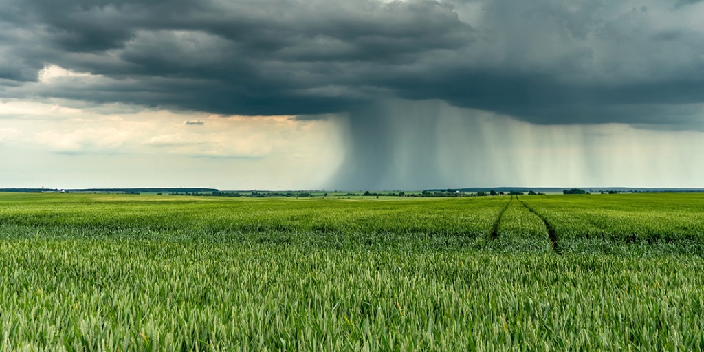 tild3536-3238-4264-b962-386163623161__shutterstock_2045018.jpg tild3536-3238-4264-b962-386163623161__shutterstock_2045018.jpg