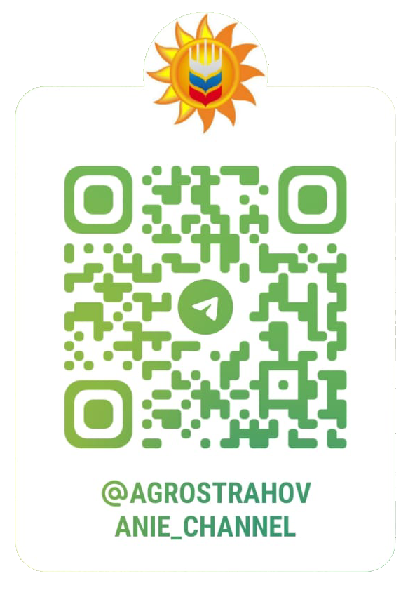 ТГ-канал.png ТГ-канал.png